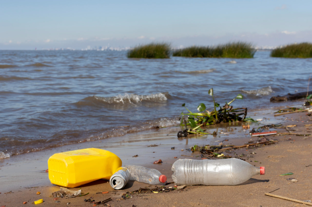 Проблема загрязнения водных ресурсов и меры борьбы - Лабораторные измерения  и охрана труда