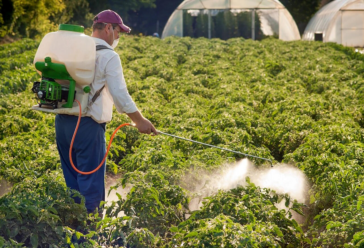 Влияние пестицидов на вредителей растений. Химикаты для огорода. Опрыскивание растений. Химическая защита растений. Удобрения в сельском хозяйстве.